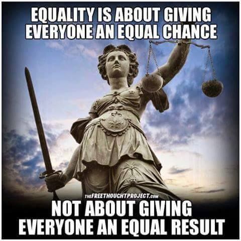 Equality is about giving everyone an equal chance.
Not about giving everyone an equal result.