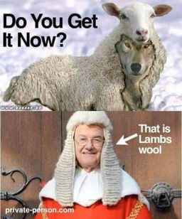 Do you get it now?

That is lambs wool