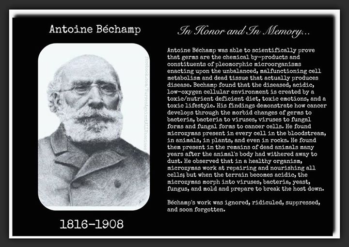 Antoine Béchamp 1816-1908
In Honor and In Memory...
Antoine Béchamp was able to scientifically prove that germs are the chemical by-products and constituents of unbalanced, malfunctioning cell metabolism and dead tissue that actually produces disease, Béchamp found that diseased, acidic, low-oxygen cellular environment is created by a toxic/nutrient deficient diet, toxic emotions, and a toxic lifestyle. His findings demonstrate how cancer develops through the morbid changes of germs to bacteria, bacteria to viruses, viruses to fungal forms and fungal forms to cancer cells. He found microzymas present in every cell in the bloodstream, in animals, in plants, and even in rocks. He found them present in the remains of dead animals many years after the animal's body had withered away to dust. He observed that in healthy organism, microzymas work at repairing and nourishing all cells, but when the terrain becomes acidic, the microzymas morph into viruses, bacteria, yeast, fungus, and mold and prepare to break the host down.

Béchamp's work was ignored, ridiculed, suppressed and soon forgotten.
