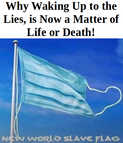 Why Waking Up to the Lies, is Now a Matter of Life or Death!

NEW WORLD SLAVE FLAG